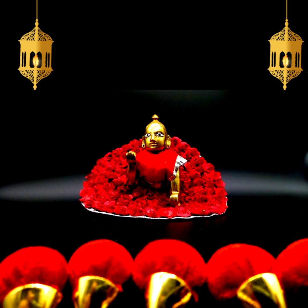 Bal Gopal Premium Dress