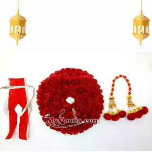 Bal Gopal Premium Dress